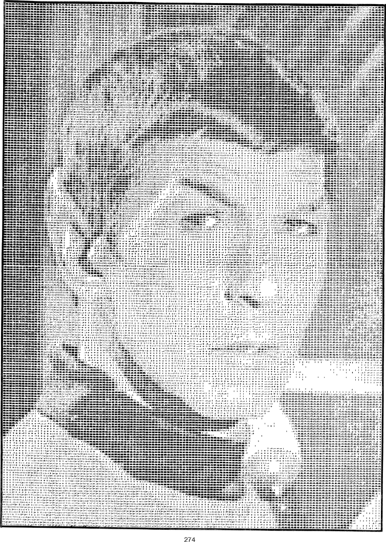 ascii bilder