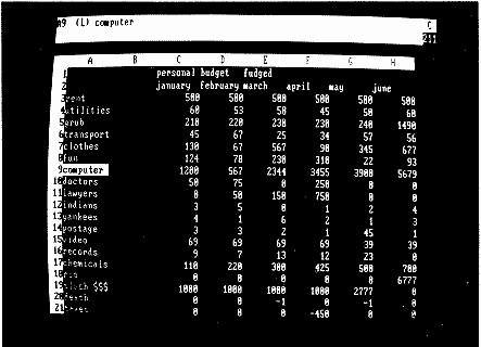 spreadsheet display