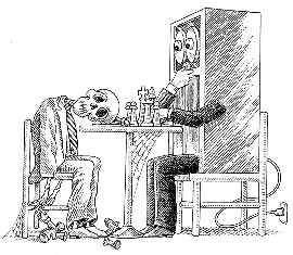 chess player